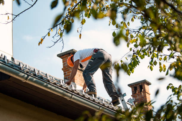 Professional Roofing service in Fairfax, VA